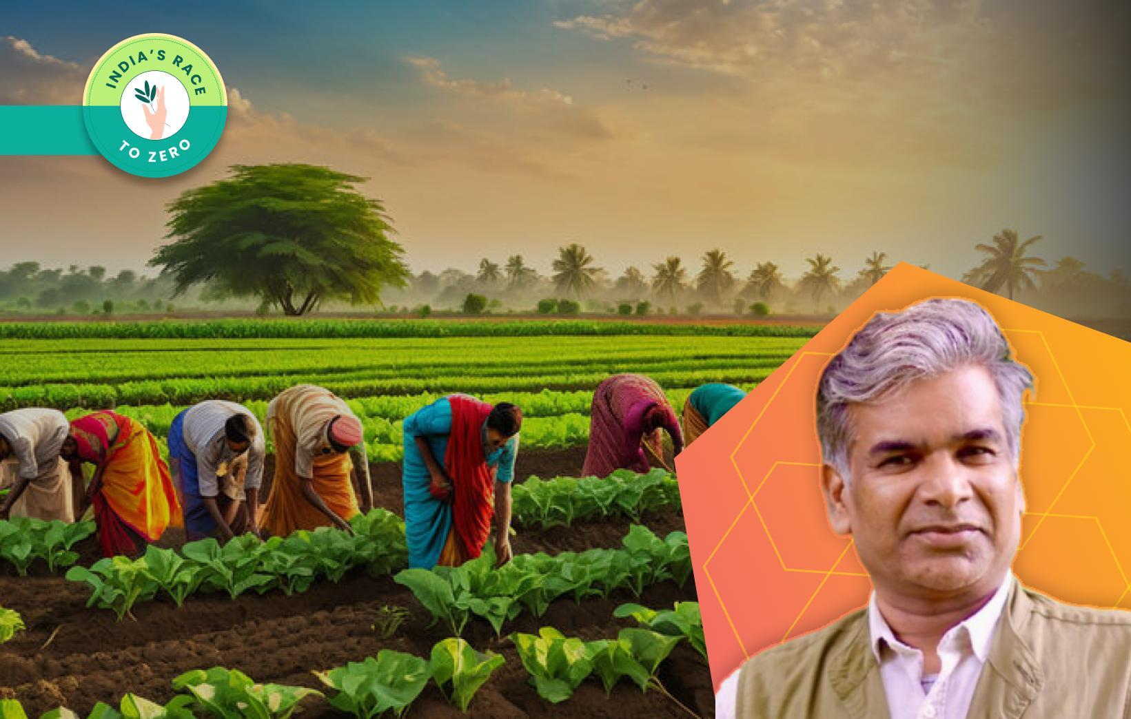 Rediscovering India's Eco-Friendly Farming