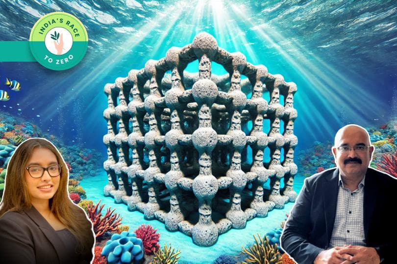 Engineered Reefs As Carbon Sinks